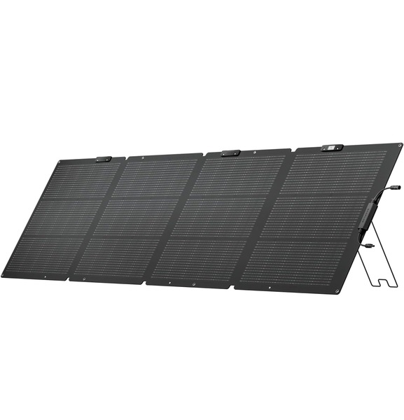ECOFLOW PALEN 220W NS
